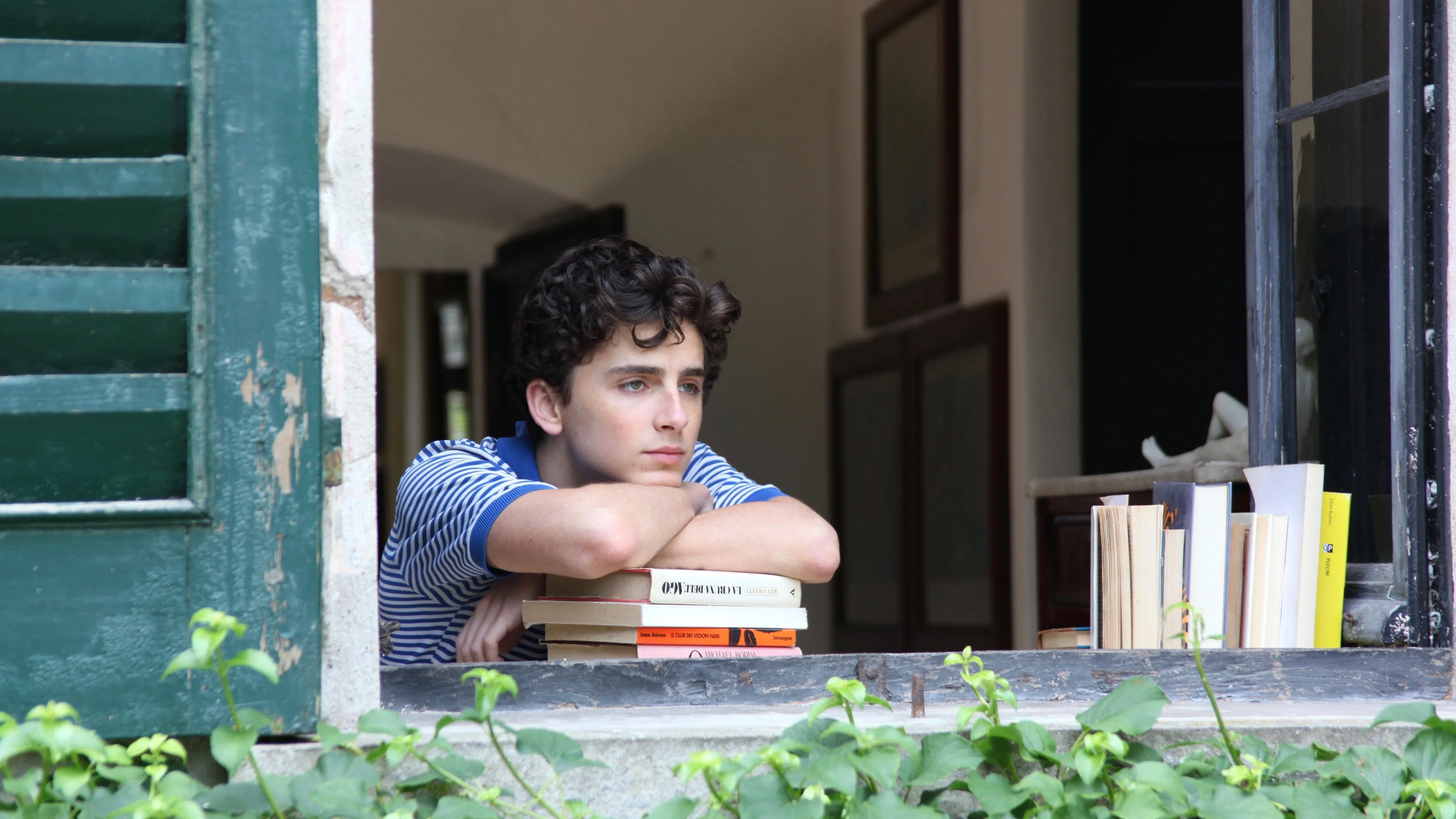 Still 1 from Call Me by Your Name