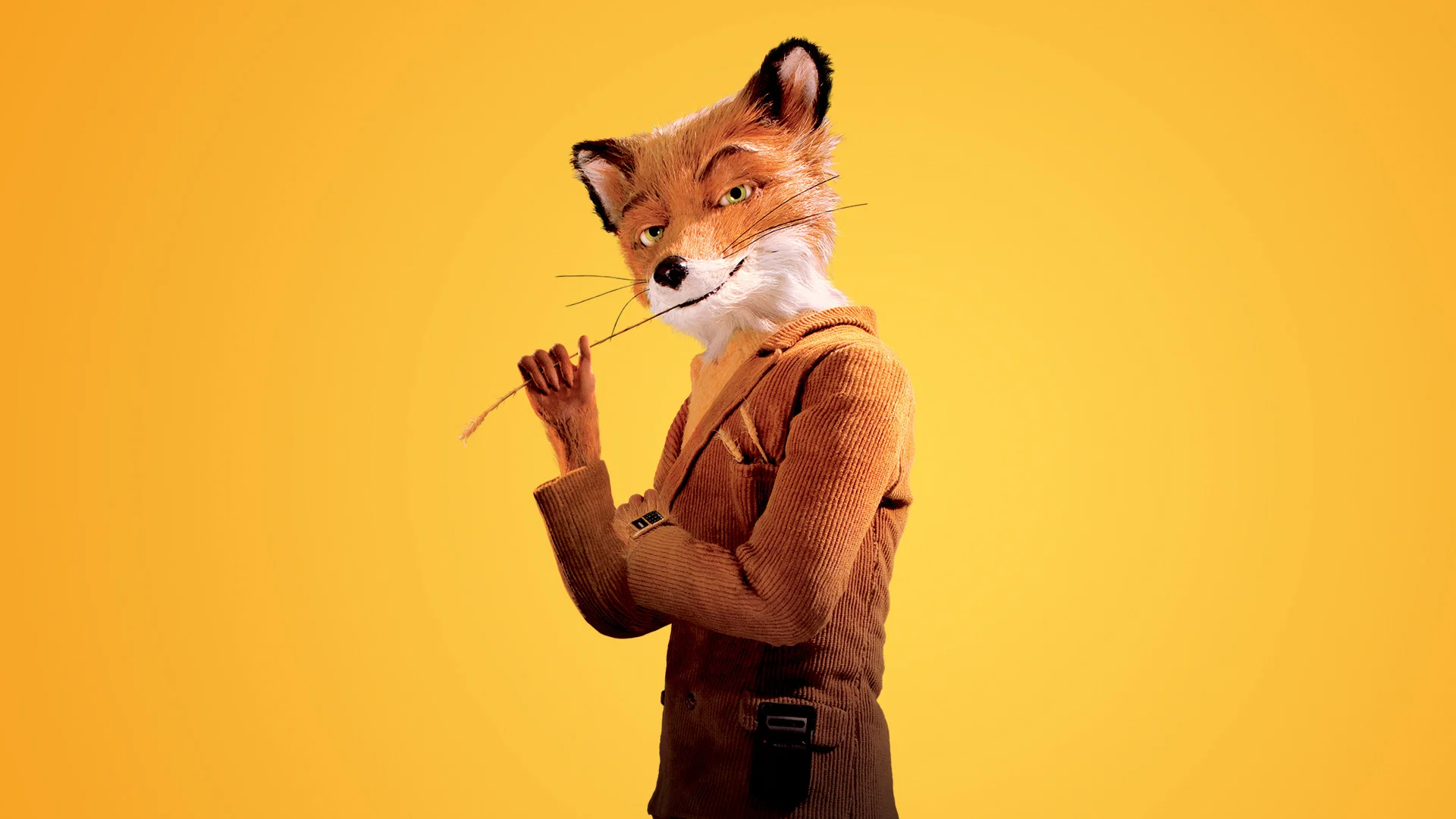Still 4 from Fantastic Mr. Fox