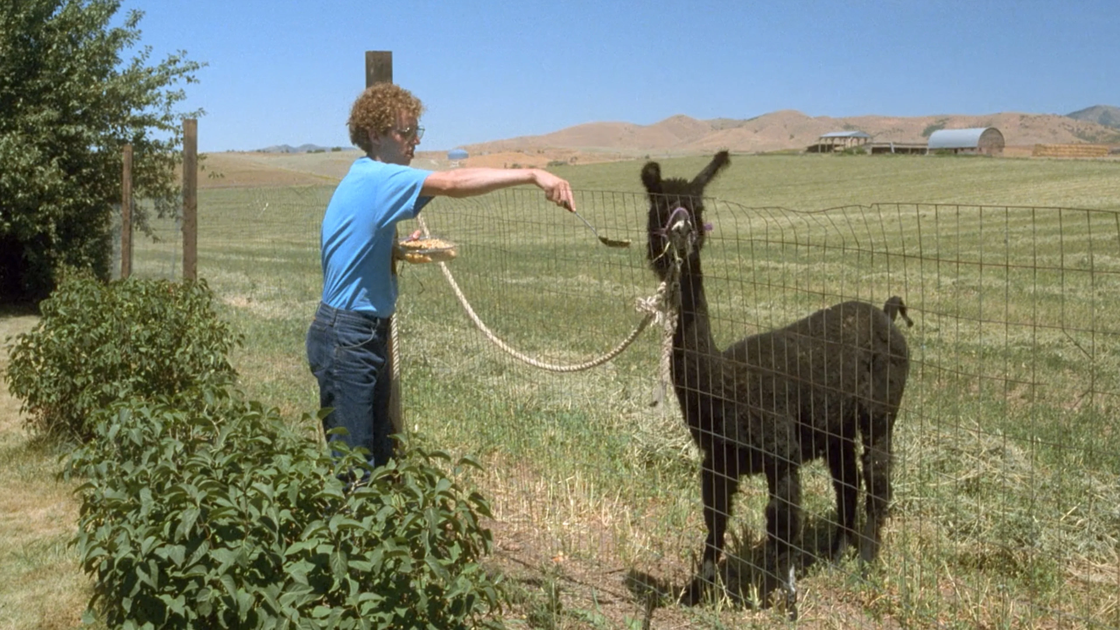 Still 4 from Napoleon Dynamite