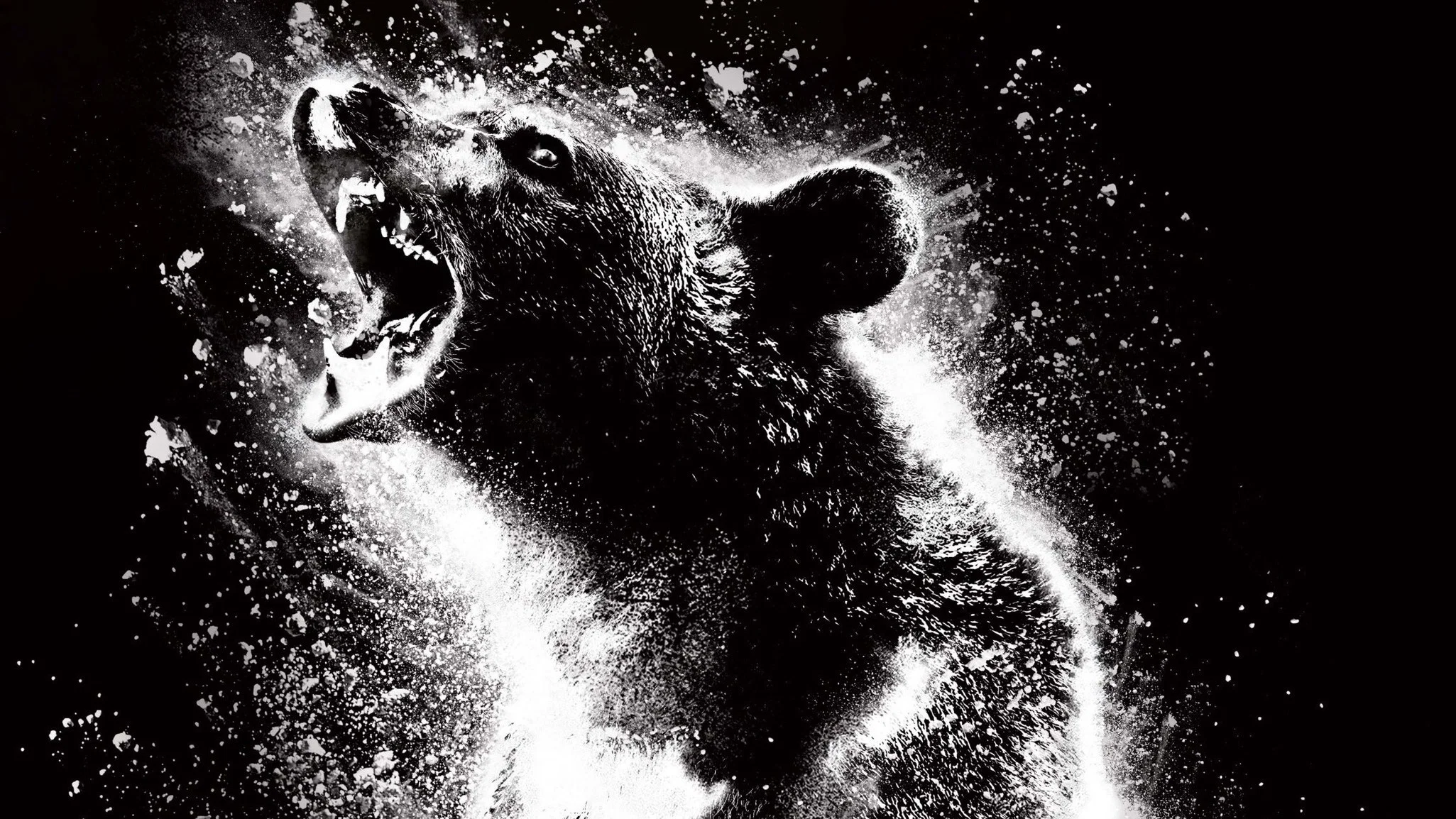 Still 1 from Cocaine Bear